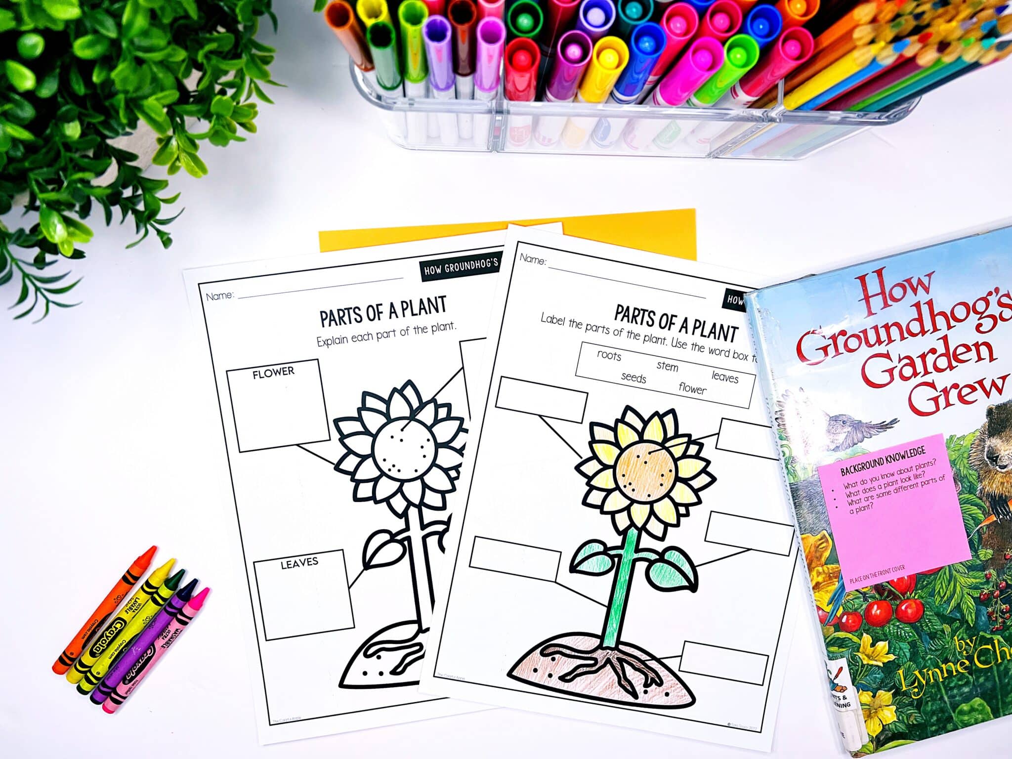 Colorful Apple Book Club - The Colorful Apple