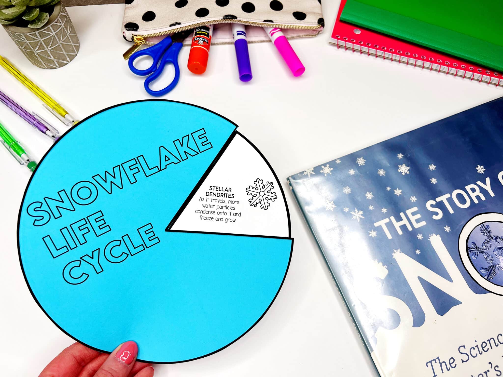 Colorful Apple Book Club - The Colorful Apple
